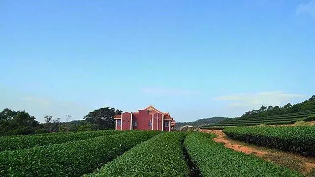 宁静致远,风景怡人:妙高山上佛国寺